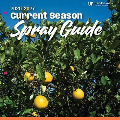 thumbnail for publication: 2026–2027 Florida Citrus Production Guide, Vol. 2